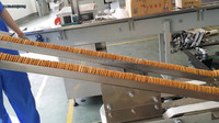 Machine à biscuits automatique à grande vitesse Skywin, 3 servomoteurs, contrôle PLC, remplissage électrique, étiquetage, scellage, sachet en aluminium, plastique