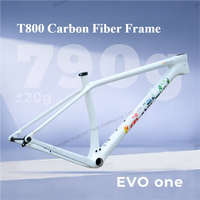 Cuadro de Bicicleta de Montaña de Fibra de Carbono Toray T800 con Moldeo Monocoque, Cuadro MTB Ligero de 29 Pulgadas para Carreras Profesionales