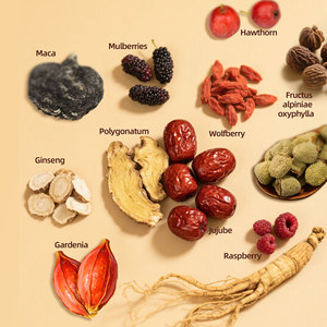 Thé Naturel pour la Santé <span class=keywords><strong>de</strong></span> la Prostate des Hommes – Maca, Ginseng, Tisane aux Herbes, Complément Rénal, Booste la Vitalité et l'Énergie Générale Masculine – Sachets <span class=keywords><strong>de</strong></span> Thé - Product Image 4