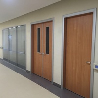 Portes intérieures en acier et bois pour salles de patients d'hôpitaux, à ouverture latérale, fabriquées par des fabricants