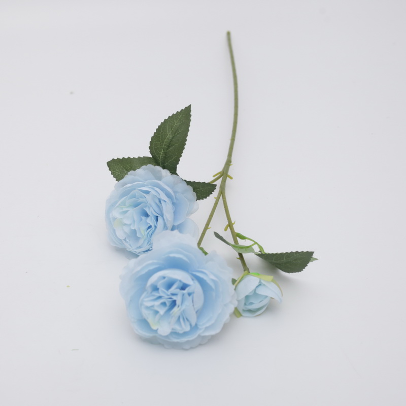 Bleu clair