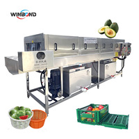 Continue fruit- en groentekratten reinigings- en wasmachine met droogfunctie