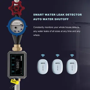 스마트 와이파이 무선 파이프 자동 차단 밸브 누수 감지 알람 센서 누수 감지기 de fugas de agua 가정용