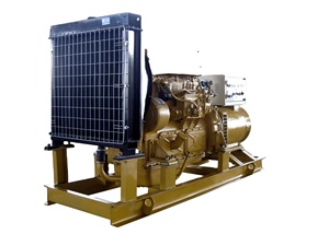 Một pha dây đồng alternator Máy phát điện diesel thiết lập với tự động bắt đầu loại im lặng không chổi than AC đầu ra - Product Image 3