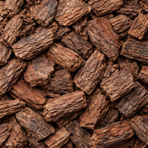 Premium kwaliteit natuurlijk 95% proanthocyanidine dennenhuid <span class=keywords><strong>extract</strong></span> poeder - Product Image 4