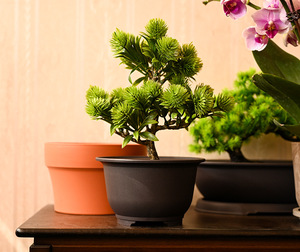 Flower Plant Pots <b>Plastic</b> <b>Planters</b> Indoor Garden Coffe - Product Image 3