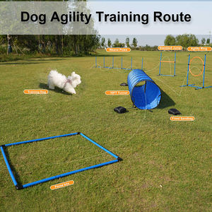 Gran oferta, juego de entrenamiento de agilidad <span class=keywords><strong>para</strong></span> <span class=keywords><strong>perros</strong></span>, carrera de obstáculos <span class=keywords><strong>para</strong></span> <span class=keywords><strong>perros</strong></span>, Kit de inicio de entrenamiento, agilidad exterior, ejercicio <span class=keywords><strong>para</strong></span> <span class=keywords><strong>perros</strong></span> y cachorros - Product Image 6