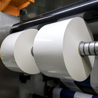 Autocollants durables à gratter, autocollants adhésifs résistants aux chocs et aux basses températures, blanc brillant en PP, personnalisables pour machines