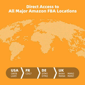 Servizio di Spedizione <span class=keywords><strong>DDP</strong></span> verso USA, Canada, Emirati Arabi Uniti, Australia, Regno Unito, Cina verso Australia, Spedizione Aerea <span class=keywords><strong>DDP</strong></span> Porta a Porta - Product Image 6