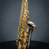 Saxophone alto Eb coloré pour débutant, en laiton, 6 couleurs au choix, clés dorées, instrument à vent pour l'apprentissage des étudiants