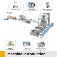 Ligne de machines d'emballage automatique pour sachets de nougat, chewing-gum, bonbons à sifflet, petits sachets de bonbons, emballage en sachet, cartonnage