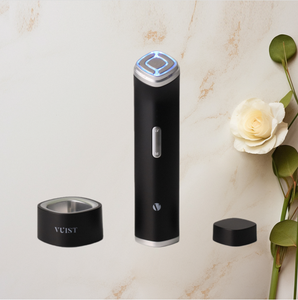 Appareil de soin de la peau du visage Vuist Derma Pro Korea Home, version japonaise, avec importation d'ions pour une absorption profonde de la peau - Product Image 1