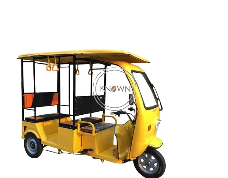 OEM لوحة طاقة شمسية الكهربائية الركاب دراجة ثلاثية العجلات الكبار سلامة سريع بمحركات توك Tuks مع CE شهادة