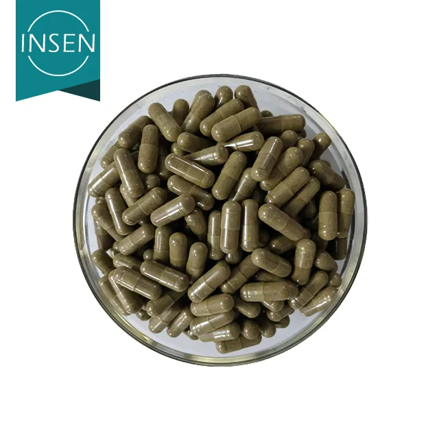 Capsule Making China Factory Supply OEM Service Focus Supplement Lion's Mane Extract Capsules