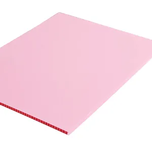 Aus gezeichneter Fabrik verkauf Welldon 4 Fuß x 8 Fuß 3mm 5mm 7mm 9mm Pink PP Wellpappe Coro plast Plastic Sheet Board Banner