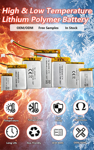 <span class=keywords><strong>แบตเตอรี่</strong></span>ลิเธียมโพลิเมอร์แบบชาร์จได้ OEM ODM รับประกัน 12 เดือน ทนทานต่ออุณหภูมิสูงและต่ำ สำหรับของเล่นอัจฉริยะ - Product Image 3