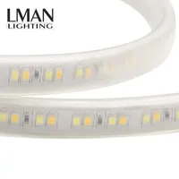 Bande lumineuse LED à double couleur SMD2835, étanche IP65, avec variateur d'intensité, télécommande, 144 LED/m, CRI élevé 80, AC 110-220V