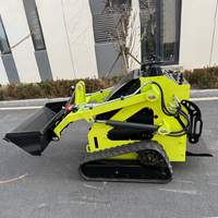 Mini-chargeuse sur chenilles multifonctionnelle hydraulique 460 kg 480 kg à vendre