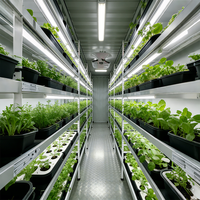 Systèmes d'agriculture verticale en conteneurs hydroponiques pour fermes intelligentes, conçus en usine, pour la culture de la laitue et des légumes à feuilles