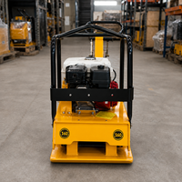 Compacteur de plaques réversible avec logo personnalisé 30KN pour entreprise d'ingénierie