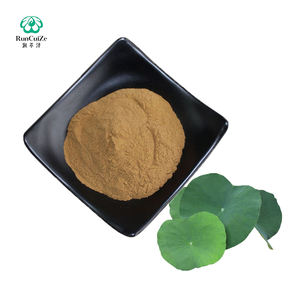 Fornecedor de Fábrica de Pó de Extrato de Folha de Lótus Natural 2% Nuciferina 98% Pó Melhor Preço - Product Image 2