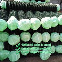 Clôture de jardin en acier galvanisé à prix avantageux, revêtement PVC vert noir, écologique, anti-rongeurs, pour chantier de construction, 2,0 mm