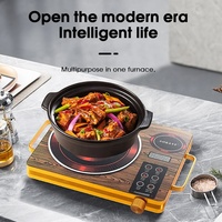 Marque Premium 2500W Cuisinière à induction infrarouge Durable En acier inoxydable 220V Cuisinière électrique Utilisation de la voiture en plein air Hotpot Caractéristique