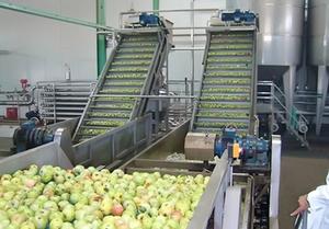 Ligne complète de production de jus de fruits frais <span class=keywords><strong>Orange</strong></span> Pomme et légumes - Product Image 2