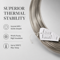 Kabel Termokopel Berkualitas Tinggi Tipe K/S/B 0.5-12mm Selubung Logam MI 2-6 Inti Isolasi Mineral 600V