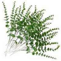 Offre Spéciale : Décoration Florale Unique en Feuilles d'Eucalyptus Artificielles Dorées pour Mariage