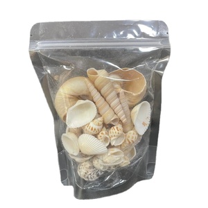 Conchiglie Marine Naturali Eco-Friendly in Materiale Organico con Campione Gratuito per Artigianato, Decorazioni per la Casa e Regali 150g - Product Image 2