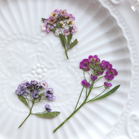 Vente en gros de fleurs séchées pressées décoratives naturelles pour l'artisanat d'art en résine timbre de sceau de cire