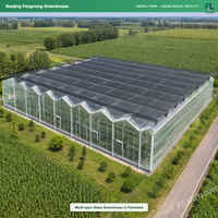 Serre commerciale multi-voûtes en verre avec système hydroponique et contrôle climatique intelligent