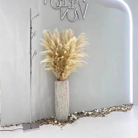 Rumput Pampas Kering Alami Warna Beige untuk Pernikahan, Rumah, dan Hotel (Grosir)