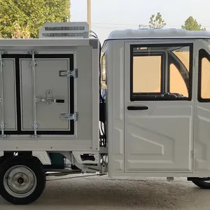 電気三輪車アイスクリーム冷凍庫冷蔵三輪車貨物電動三輪車配送速達