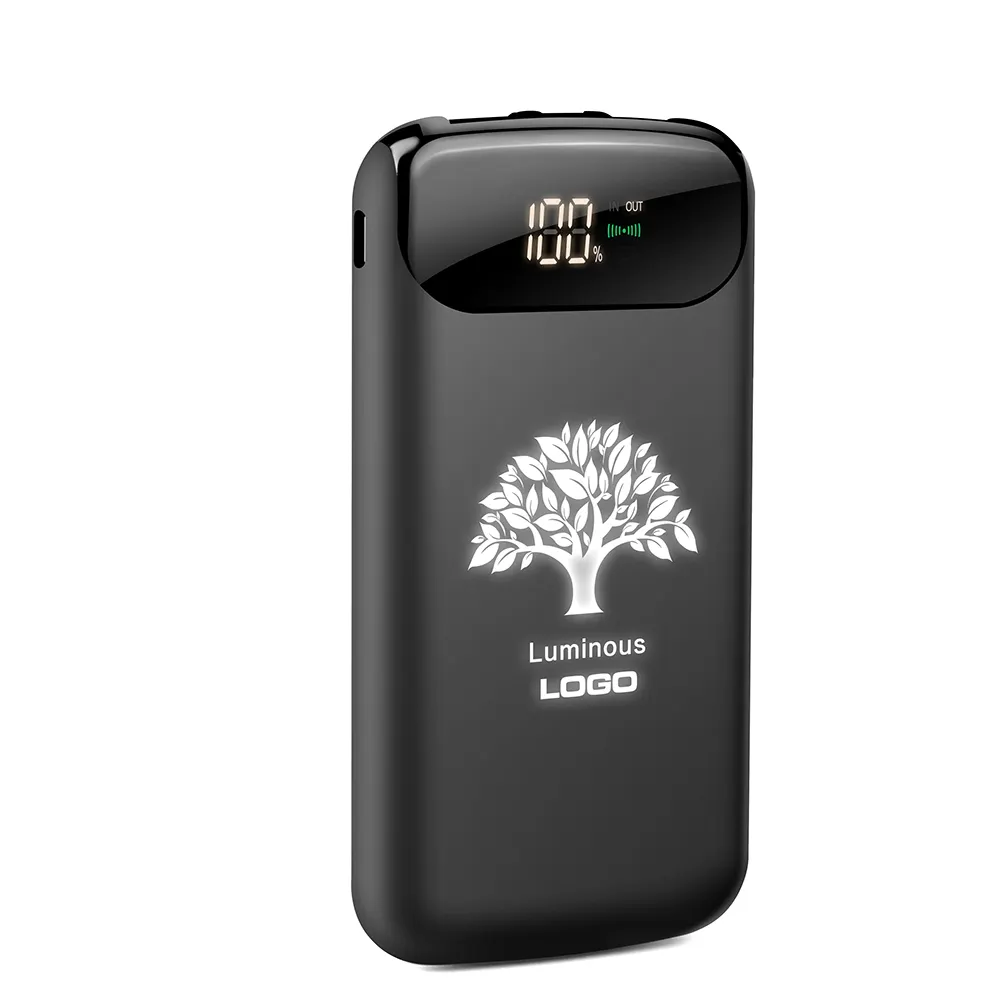 Beste Verkopers In Usa 2020 10000Mah Dual Usb Power Bank Met Led Logo