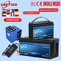 Baterai LiFePO4 Stok EU 12V 24V 36V 100Ah 200Ah 300Ah Baterai Lithium Iron Phosphate Penyimpanan Energi Cadangan dengan BSM Battery
