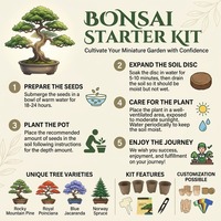 Bonsai Starter Kit Guide Jardin Plantation Set Cadeau Plante Set Herb Box Pour La Vente En Gros