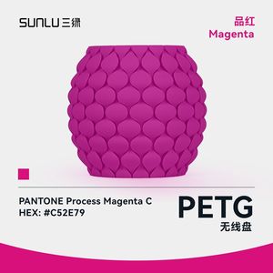 Filamento PETG 3D SUNLU Sin Bobina 1 kg 1,75 mm Resistente al Agua, a la Intemperie, a los Impactos, Impresión Estable, Colores Vivos - Product Image 2