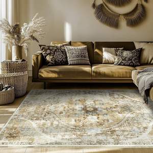 พรมปูพื้นลายเหรียญโบฮีเมียน วาน ซินหลง รูปทรงสี่เหลี่ยมผืนผ้า ผลิตจากกำมะหยี่คริสตัล กันลื่น เหมาะสำหรับห้องนั่งเล่น ตกแต่งบ้าน - Product Image 5