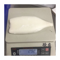 Produits de la mer surgelés de la meilleure qualité, tubes de calmar du Pérou surgelés U3/U5/U7/U10, tubes de calmar géants à vendre