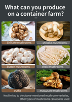 Ferme conteneurisée durable en matériaux recyclés, kit de culture verticale de champignons écologique, système hydroponique compatible solaire