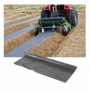 Plástico de Cobertura para Plantas y Vegetales con Protección UV, Negro, 52 Pulgadas de Ancho, 6000 Pies de Largo, 1.1mil/0.9mil de Grosor - Product Image 4