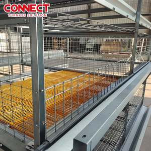 Equipo de procesamiento de aves de corral de 12 niveles, sistema de cría de gallos, jaulas de pollos de engorde para pollitos de engorde - Product Image 4