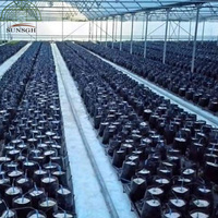 Système de culture hydroponique en serre, gouttière pliable pour la culture des plantes, gouttière noire pour la culture des fraises en agriculture