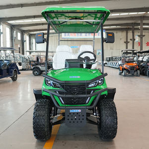 4座新型电动微型车Ev汽车汽车新能源汽车个人电动车高尔夫球车 - Product Image 3