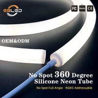 Keine Dunkle Stellen 360-Grad-LED-Neonröhre 12V 24V IP67 Wasserdicht Flexibles Silikon Mehrfarbig für Garten Landschaft Bar CE RoHS
