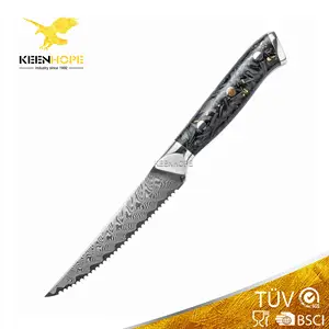 4.5 inch bít tết dao với SS316 Bolster composited nhựa + sợi carbon xử lý 67 lớp Damascus VG10 dao