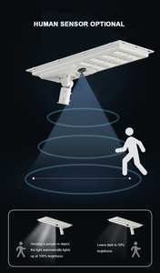 Nhôm 30W 40W 60W ngoài trời LED vườn năng lượng mặt trời đèn đường 50W tất cả trong một với bảng điều khiển năng lượng mặt trời Silicon đơn tinh thể - Product Image 6