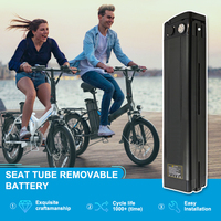 Vente d'usine Batterie de scooter électrique Lithium Silverfish 18650 36V 48V 52V 15Ah 18Ah 20Ah Batterie de vélo électrique 750W 1000W